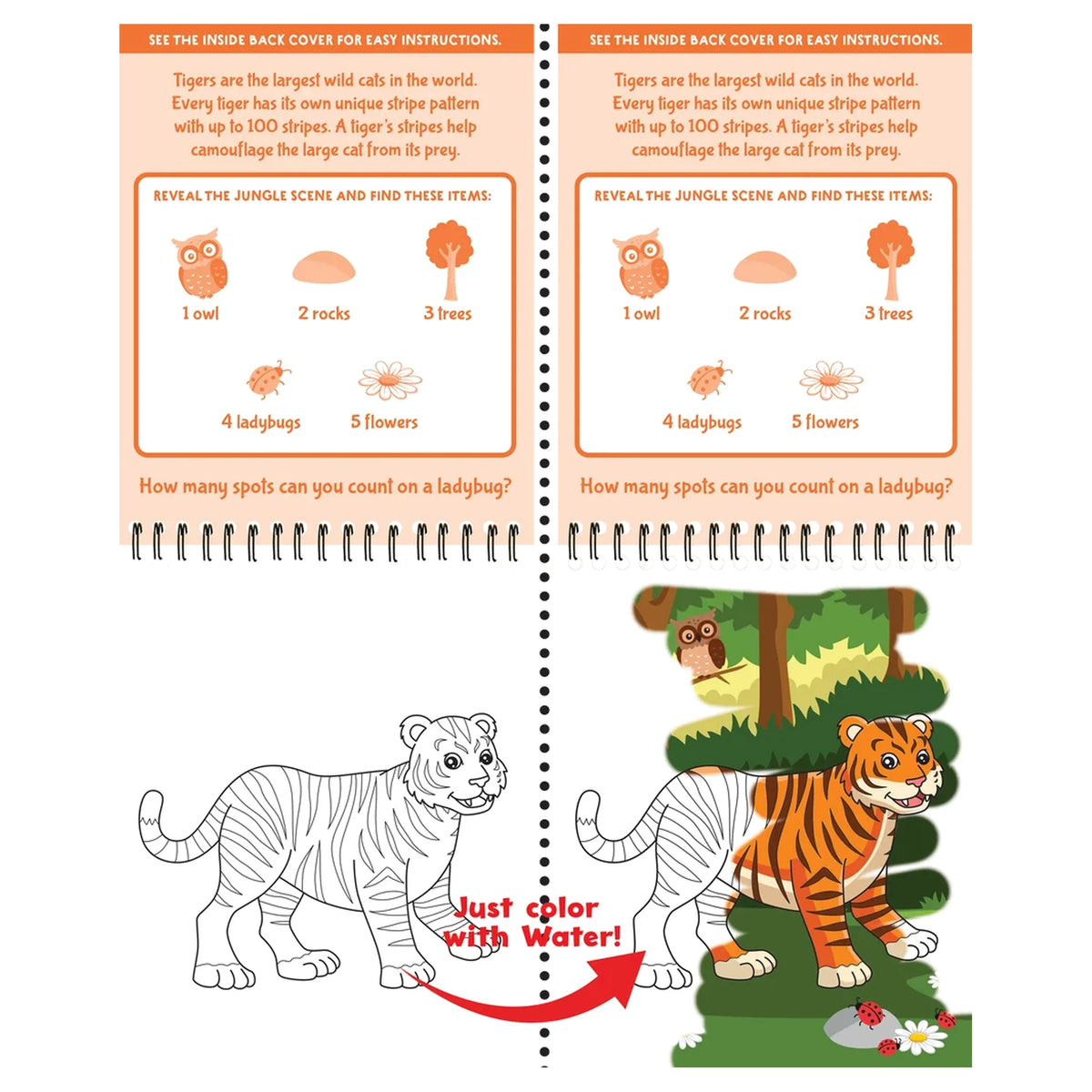 Color With Water - Wild Animals