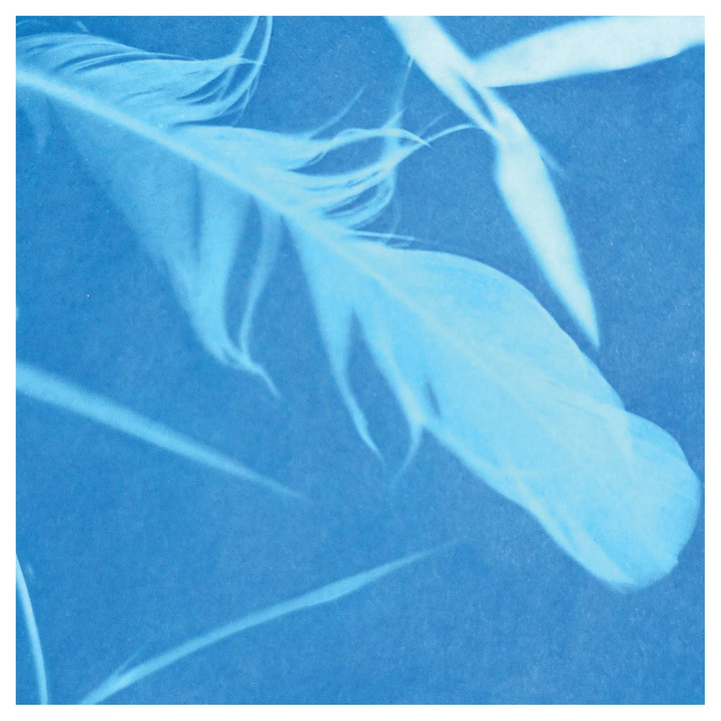 Sunprint Kit