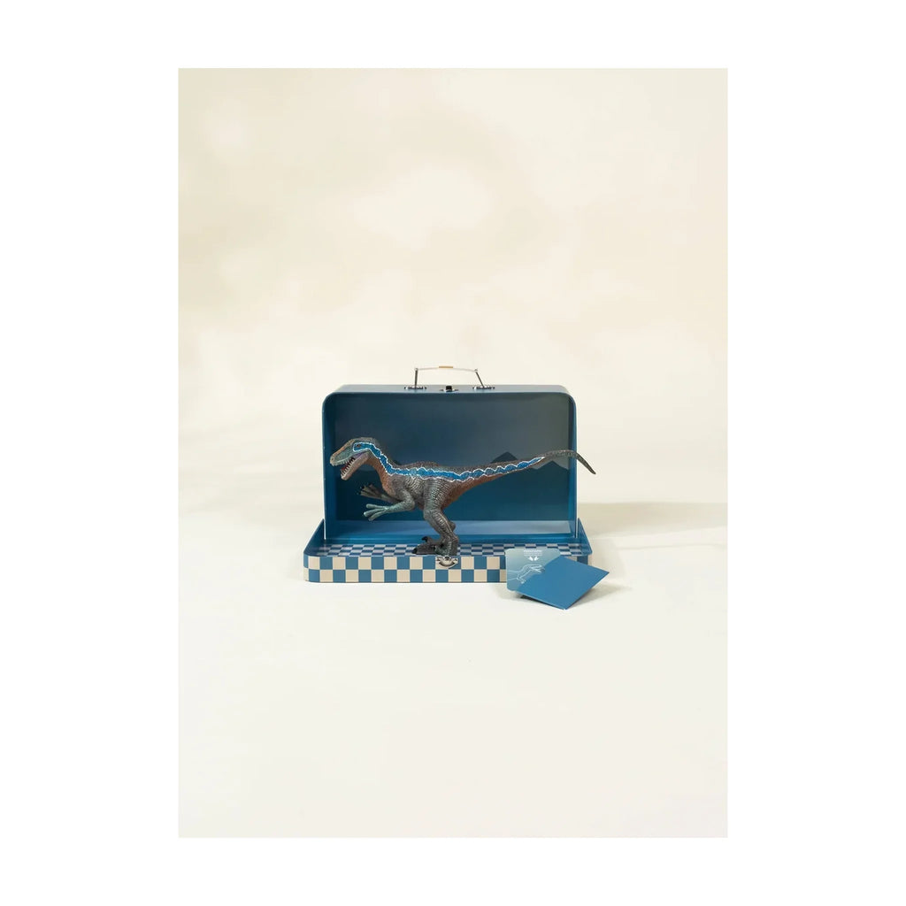 Velociraptor Dinosaur in a Collectible Box