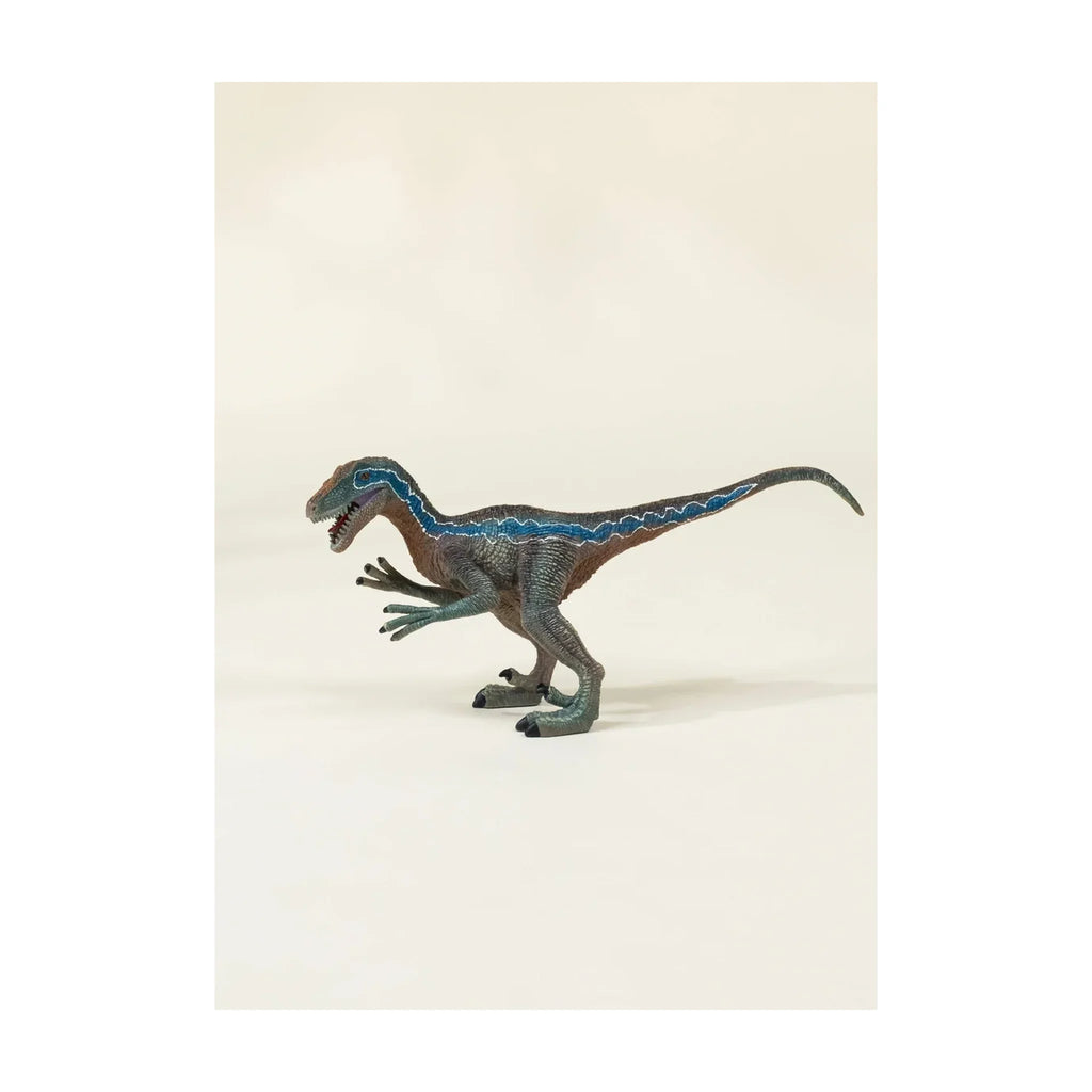 Velociraptor Dinosaur in a Collectible Box