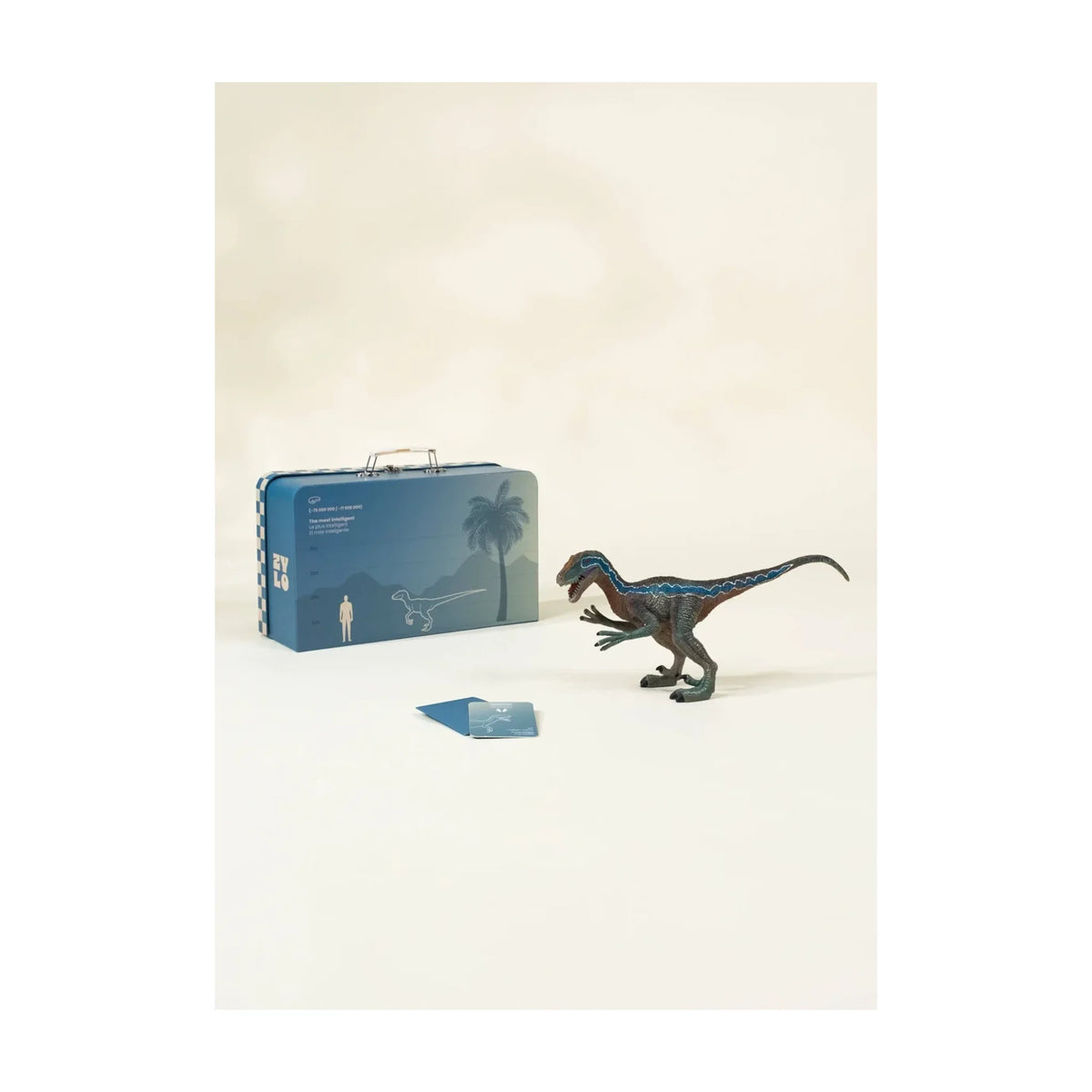 Velociraptor Dinosaur in a Collectible Box