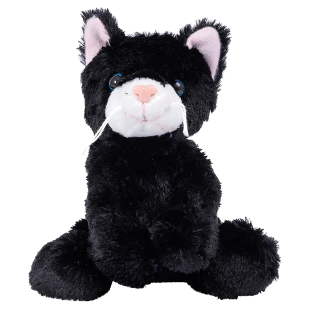 Catsy Kitty