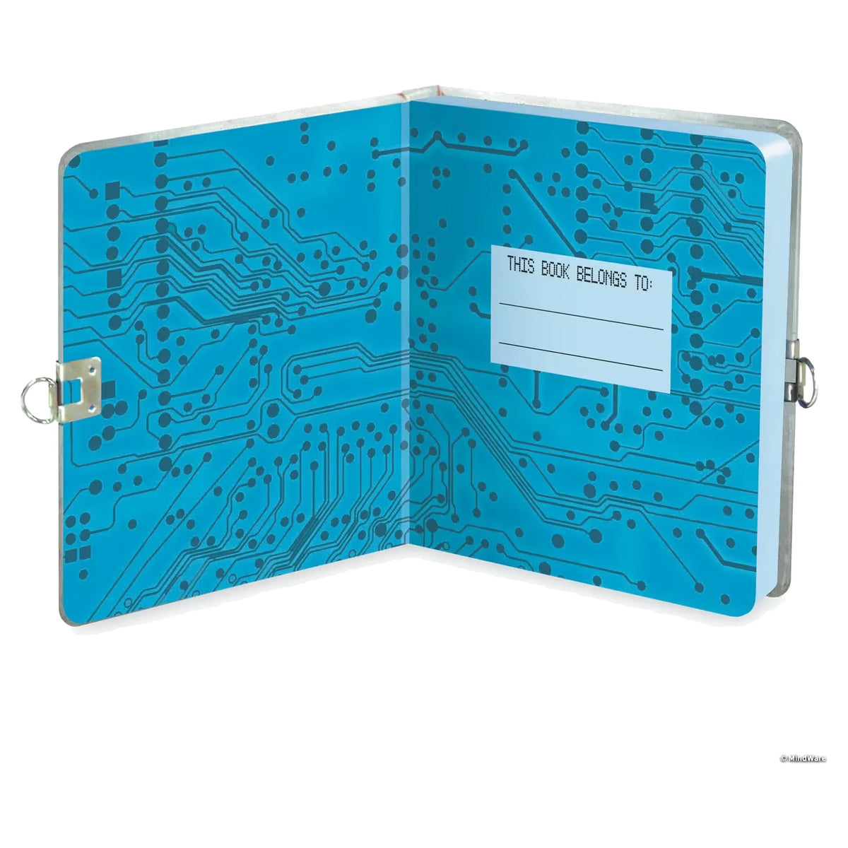 Diary: Lock & Key: Password Required