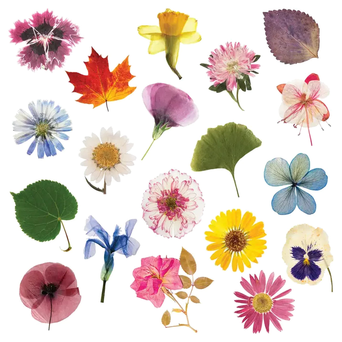 Flower Press - Simple & Effective DIY - Includes All Parts