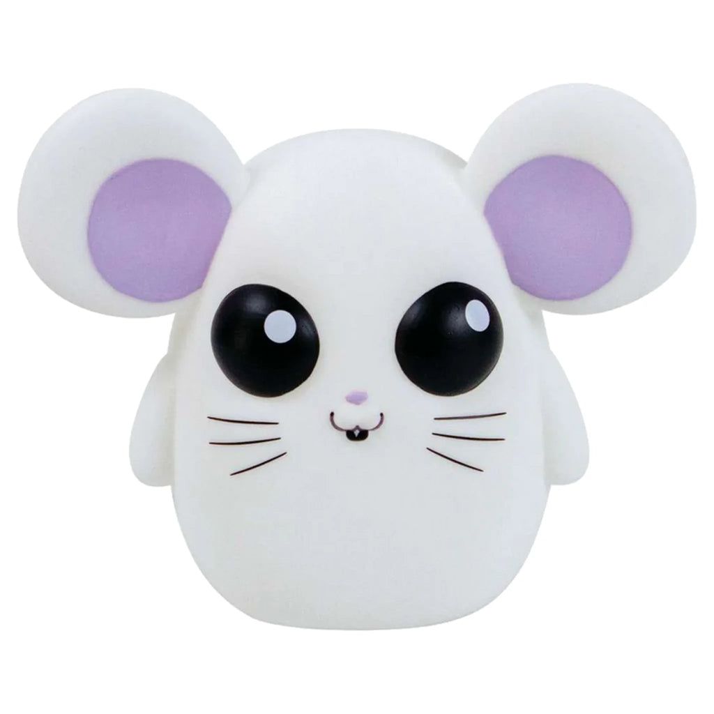 Where is Squeaky? : The interactive hide-and-seek game!